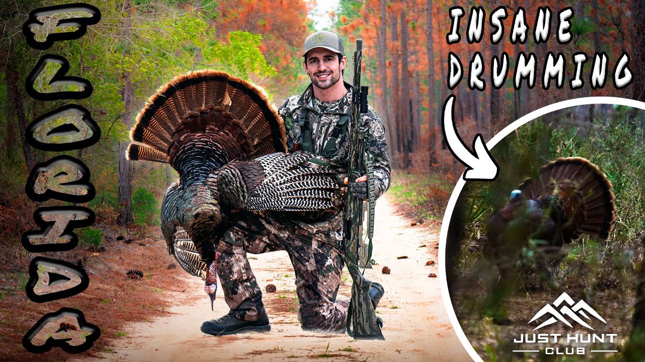 Public Land Turkey Hunting in Florida (Insane Drumming)