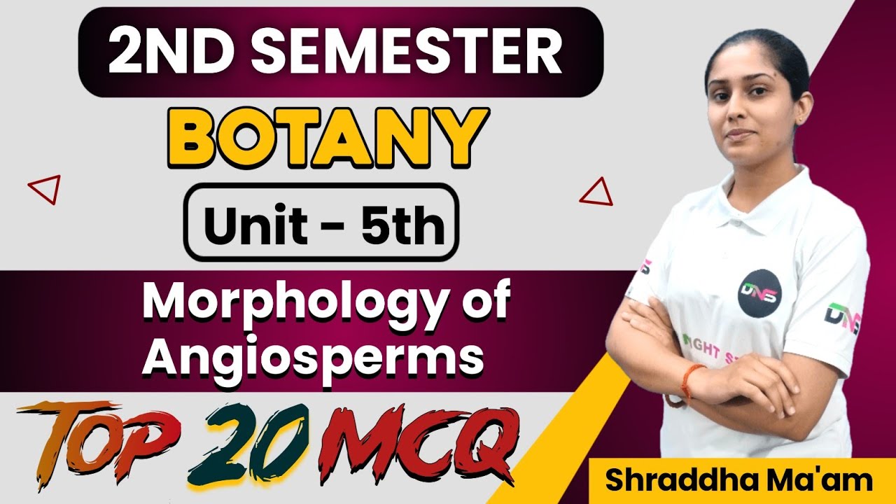 B.Sc 2nd Semester Botany Unit-4th Morphology of Angiosperms || Botany Gymnosperms B.Sc 2nd Sem. MCQ