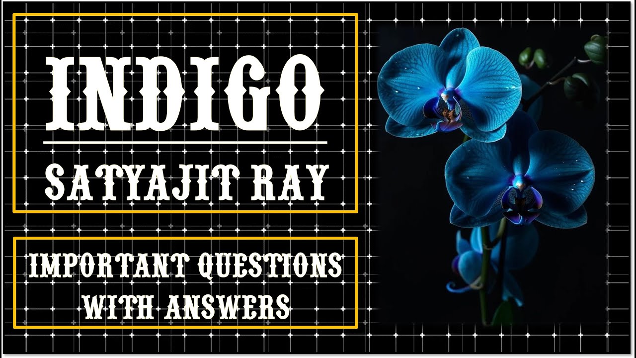 Indigo by Satyajit Ray | Important Questions with Answers Workbook | ISC Class 12 | Rhapsody & Prism