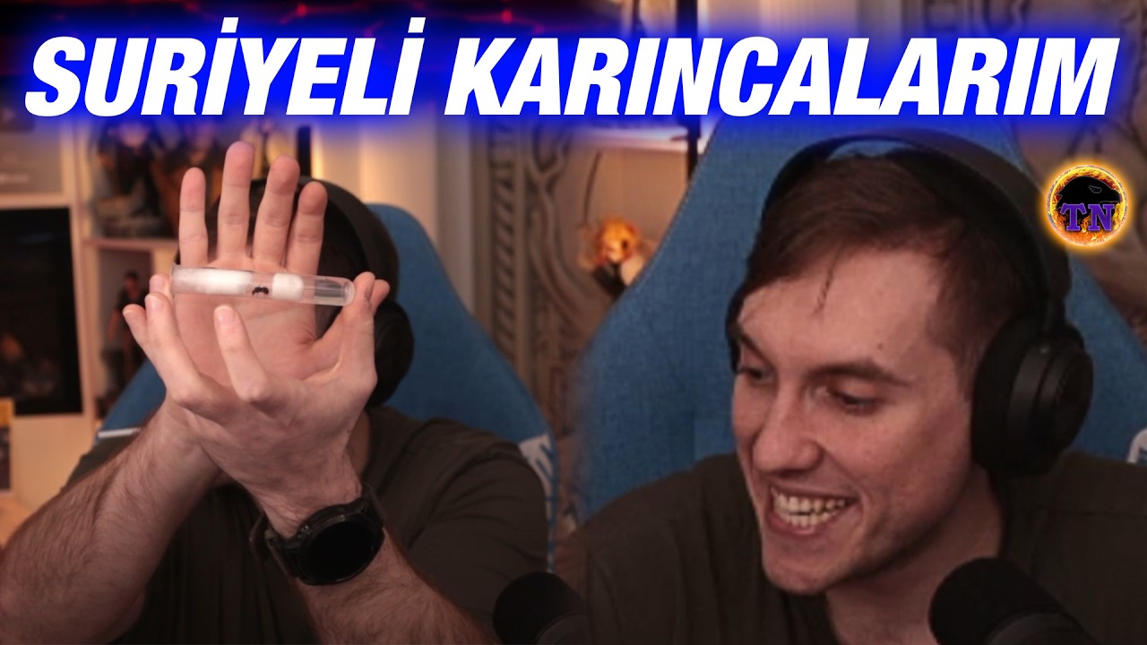 RRaenee Suriyeli Karıncalarını Gösteriyor | Yeni Hobi Sohbeti