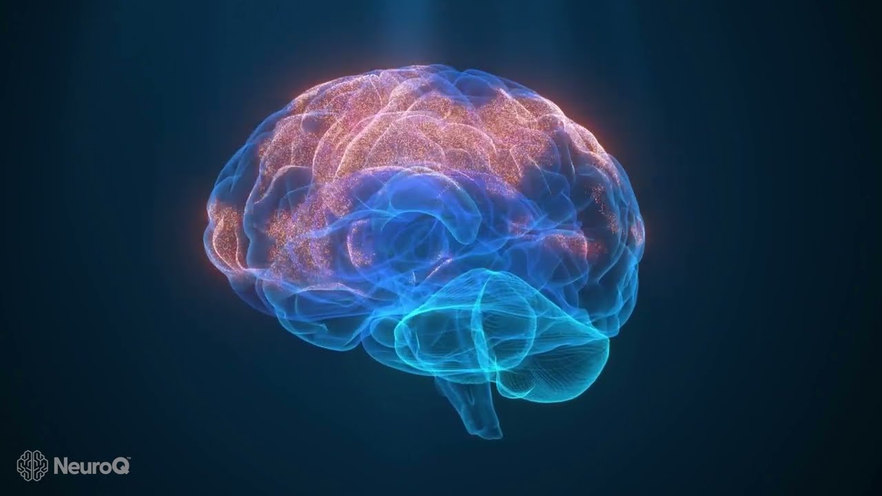 Do People with Aphantasia Dream? |&zwnj;&zwnj; NeuroQ