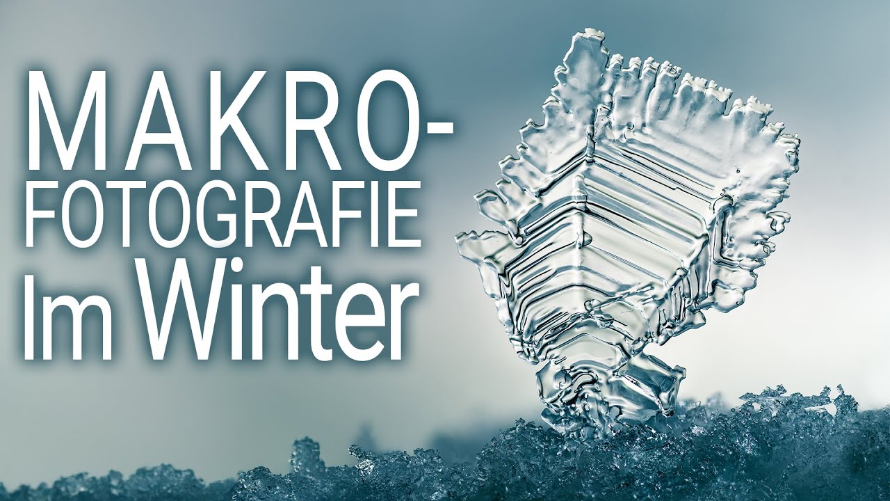 Makrofotografie im Winter (Teil 1/2)