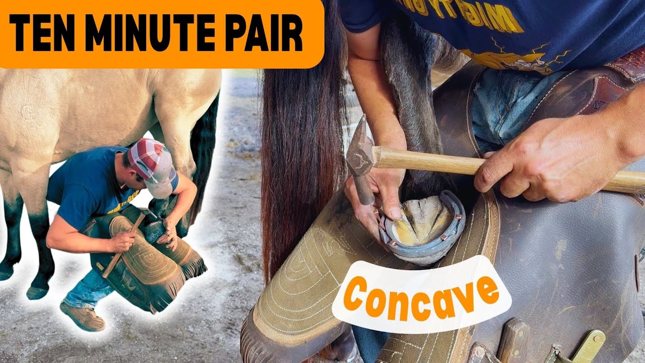 10 MINUTE PAIR out of Concave