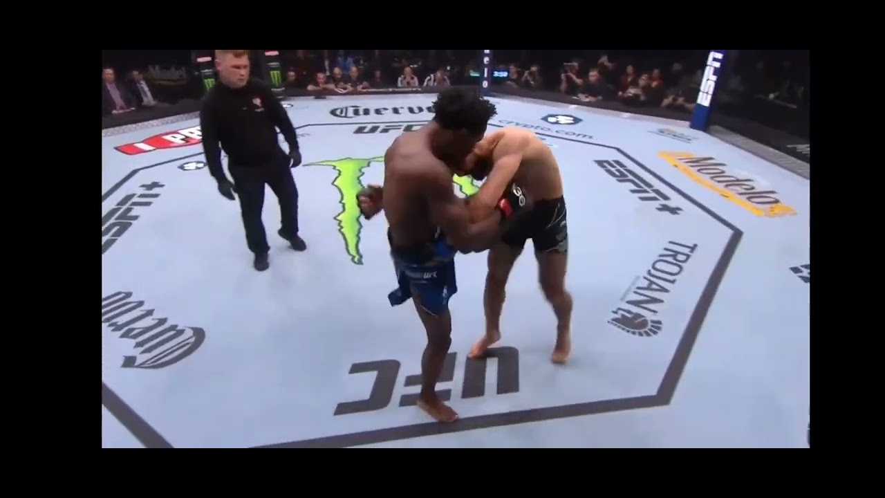 farid Basharat ufc fight 🇦🇫