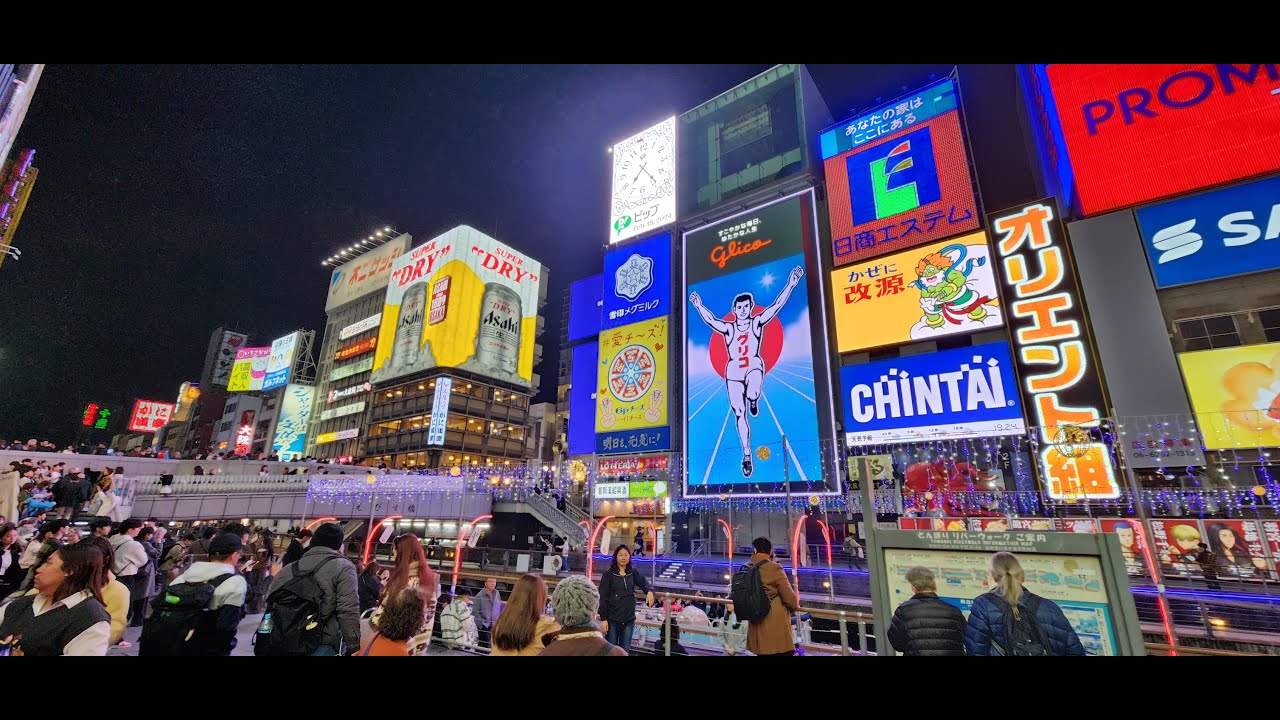 Japan Trip 2024 Part 7: Arriving in Osaka (Owl Cafe and Dotonbori)