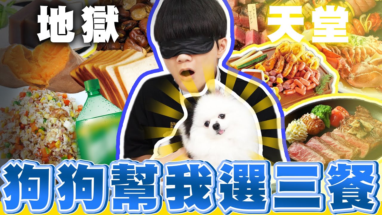 狗狗盲選三餐，哲哲的三餐都靠狗狗來挑選！會選到天堂還是地獄呢？【黃氏兄弟】#盲選