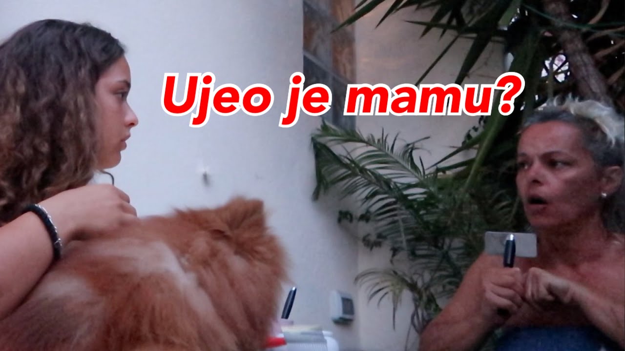 BANGY JE UJEO MAMU