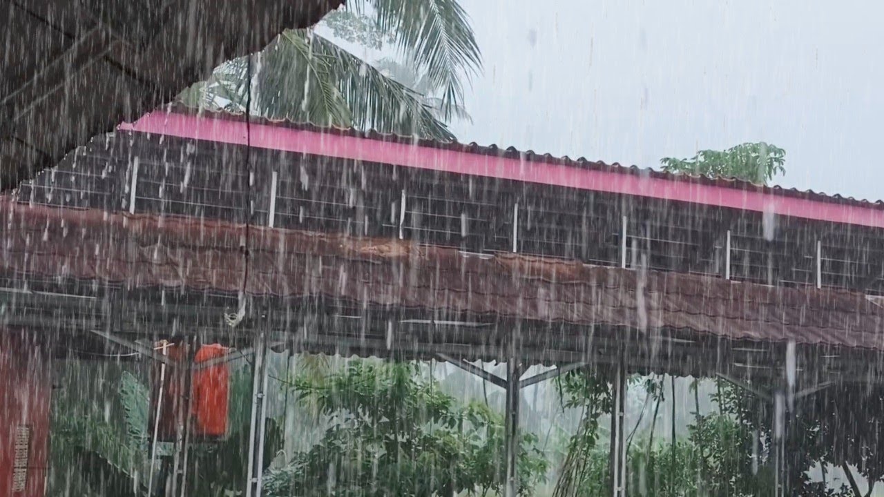 Allow the soothing heavy rain sounds to relax your thoughts and help you fall asleep peacefully 