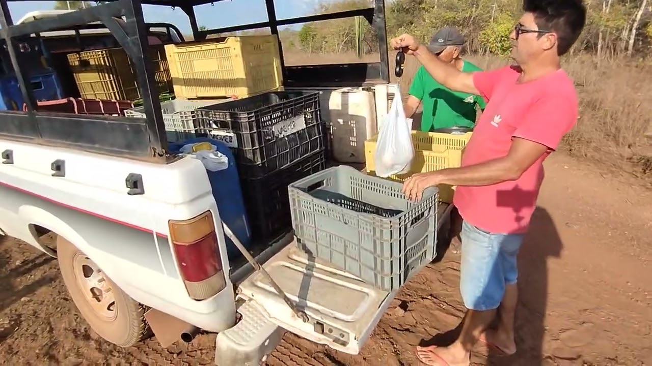 O VENDEDOR DE FRUTAS PORTA EM PORTA VENDENDO PRA VÓ DELOUSA