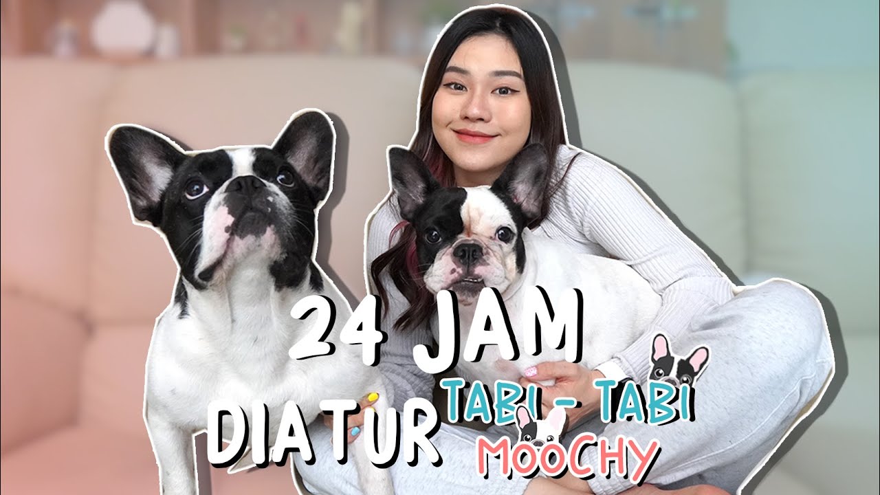 24 HOURS OF EATING BY TABI, MOOCHY AND ELSE