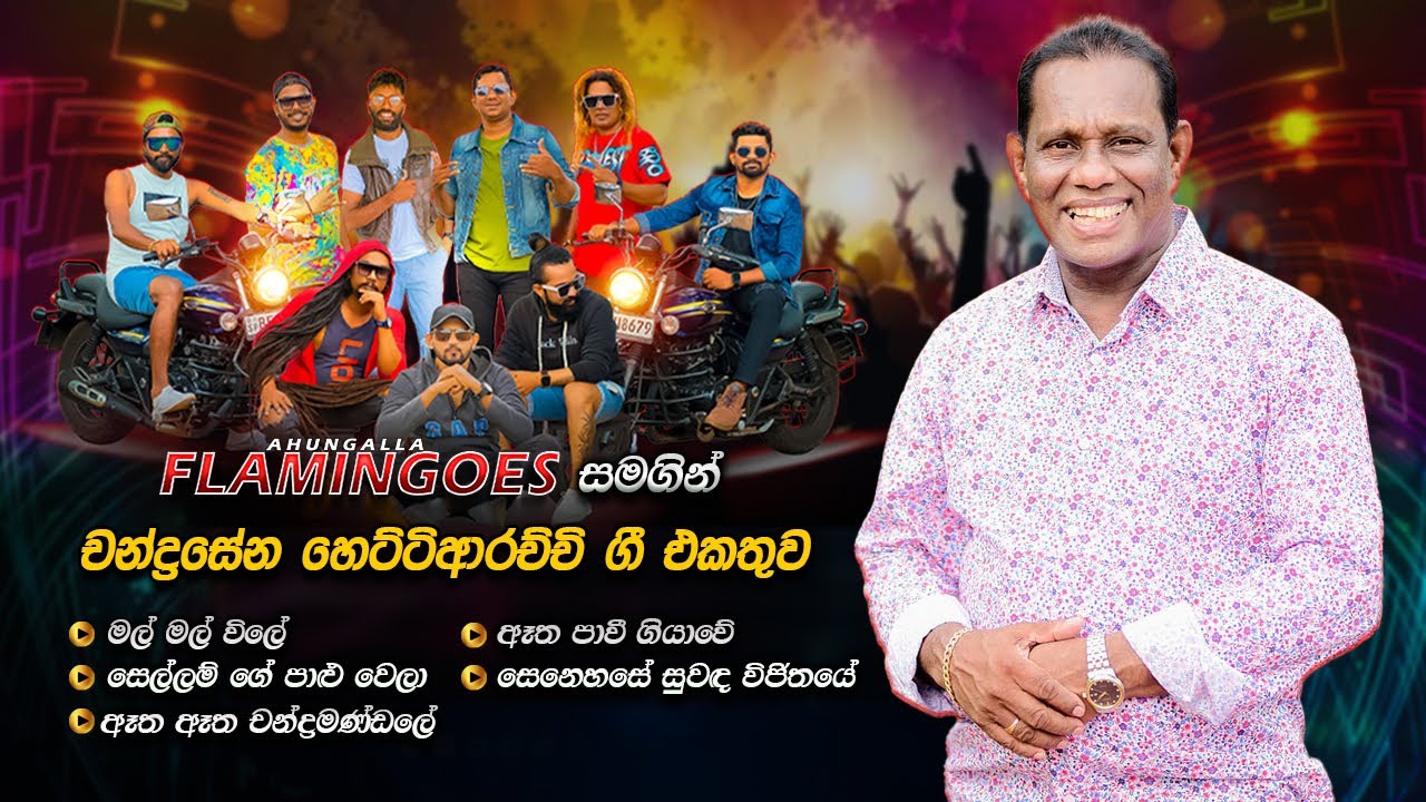 Chandrasena Hettiarachchi Song Collection | සුපිරි බැකින් එකට නියම සිංදු ටිකක් | FLAMINGOES