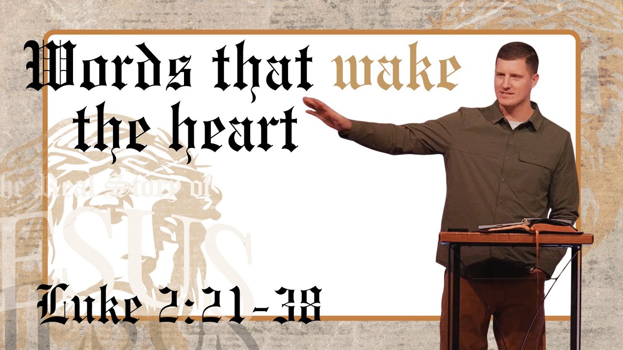 Words That Wake The Heart - Luke 3:1-20