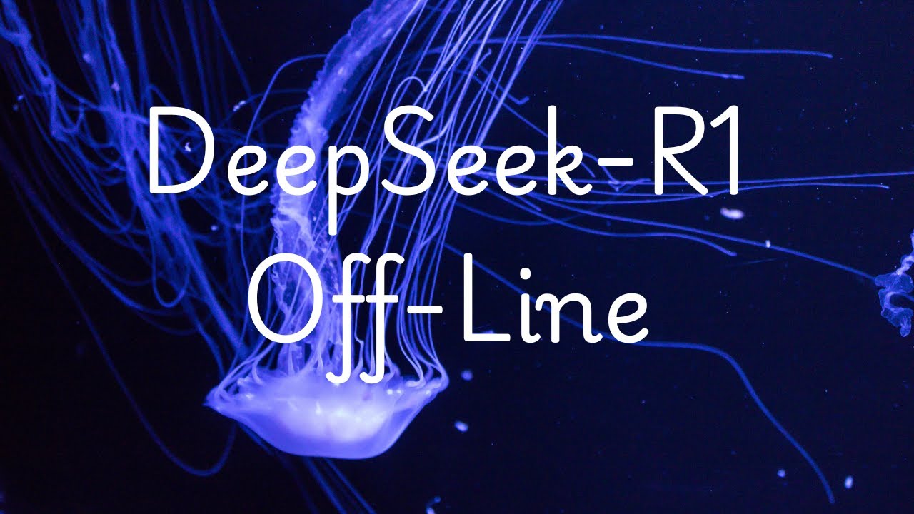 DeepSeek Installation on Local System for Off-Line Use in Educational Institutions (Urdu)