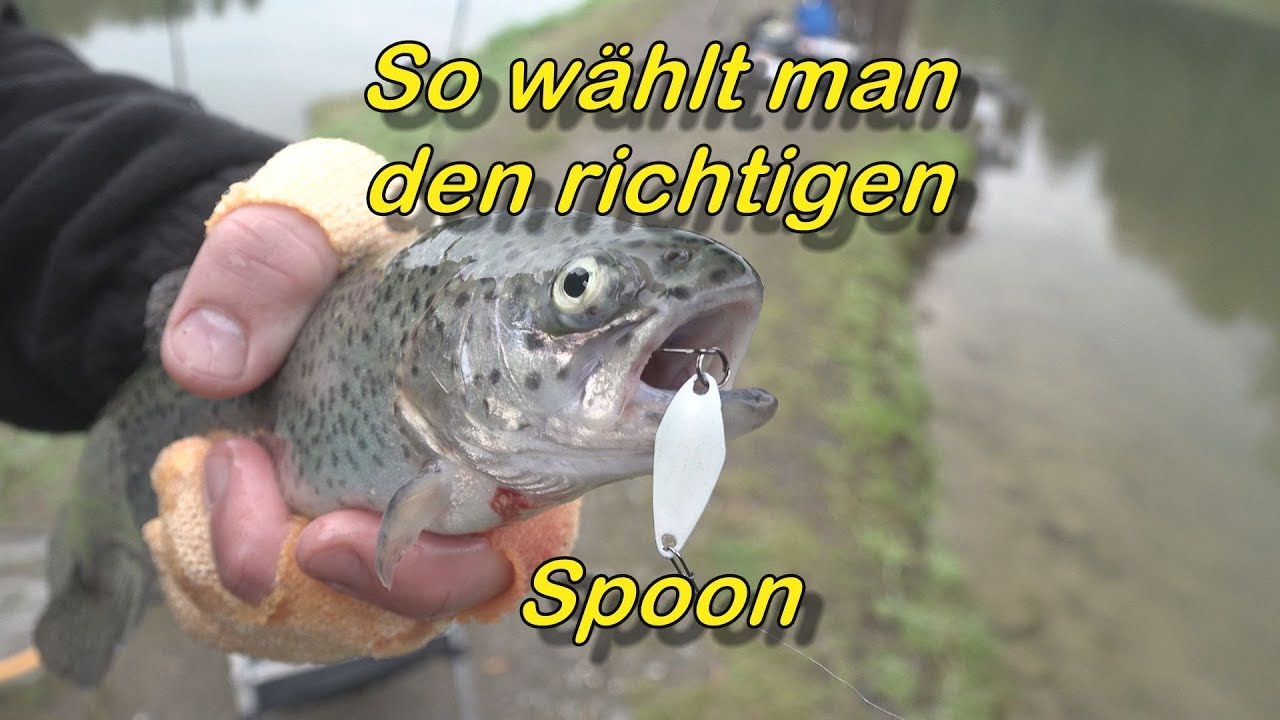 So wählt man die richtigen Spoons
