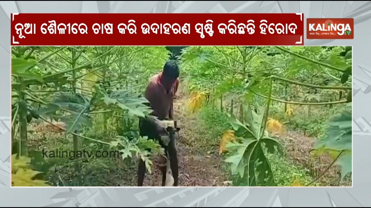 Mann Ki Baat: PM Modi Hails Sundargarh Farmer’s Integrated Farming Success | Kalinga TV
