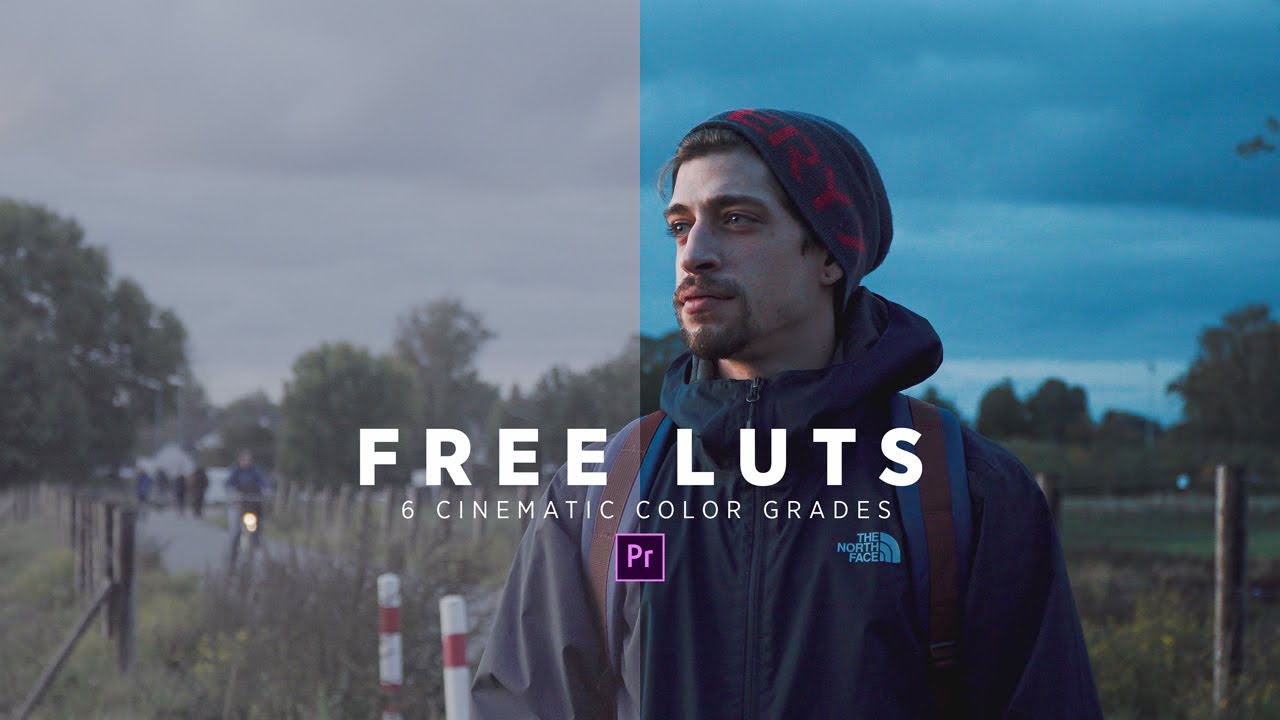 CINEMATIC LUT Pack for FREE