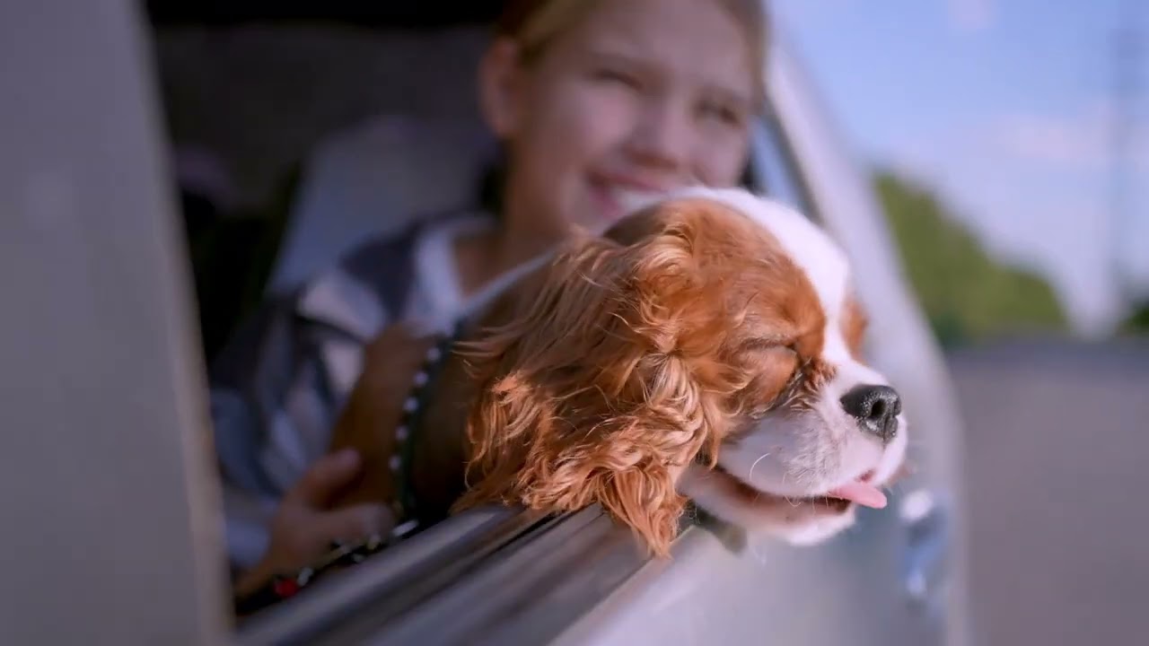 Moments That Matter | AutoRentals