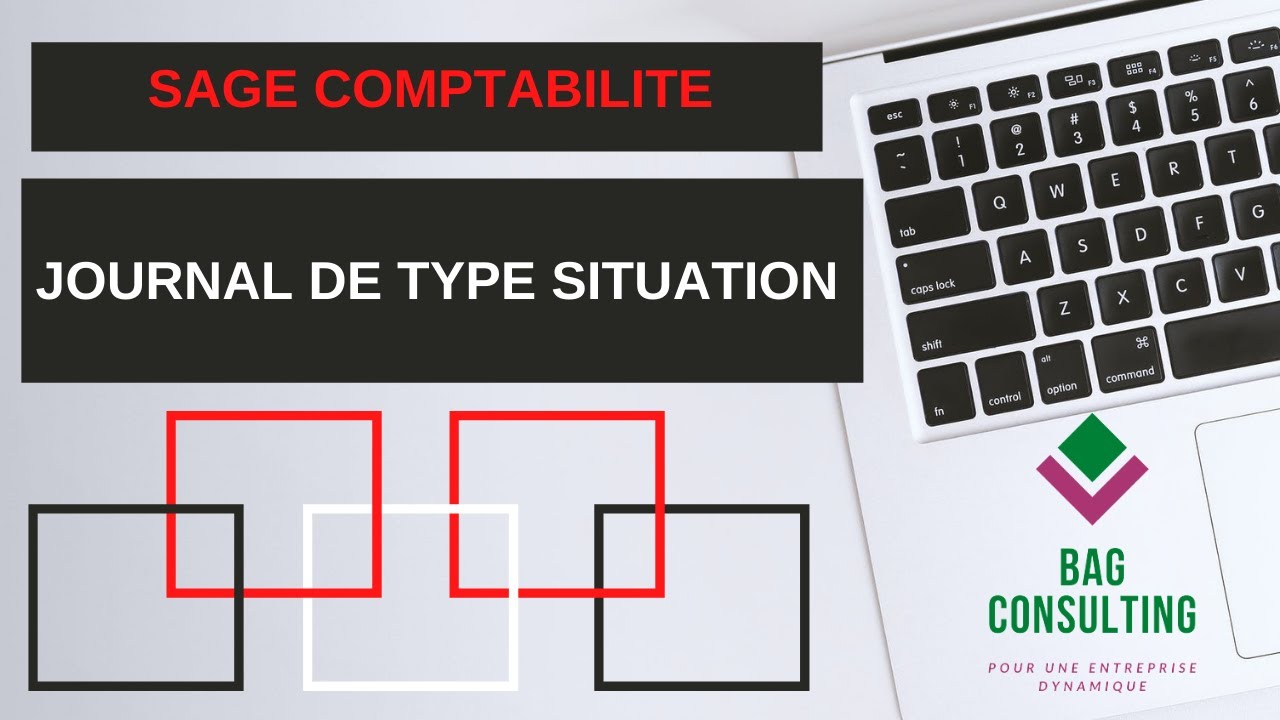 SAGE COMPTABILITE: JOURNAL DE TYPE SITUATION