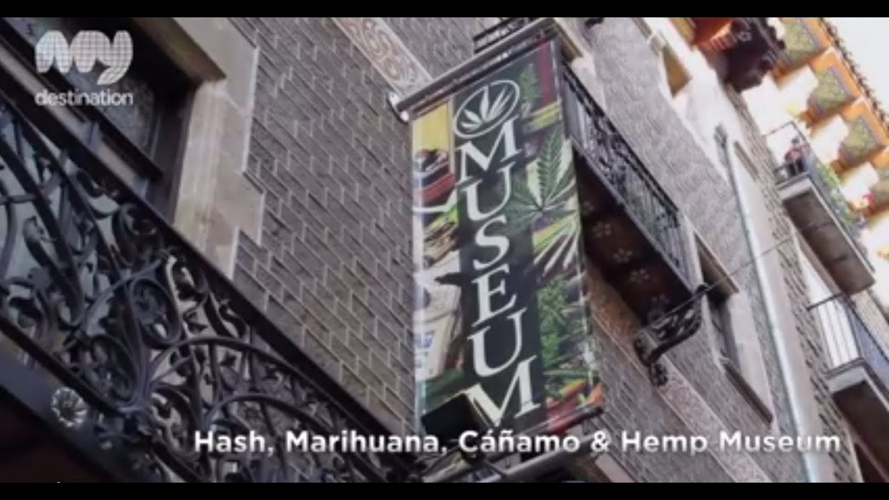Hash Marihuana C&aacute;&ntilde;amo & Hemp Museum