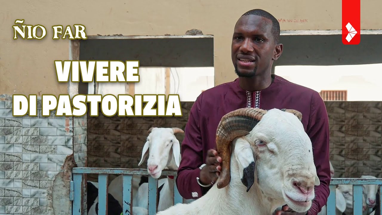 Vivere di pastorizia - &Ntilde;io Far E2