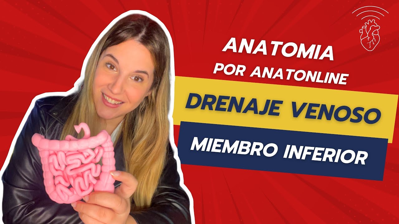 Curso completo de anatomia - Clase 36: Drenaje venoso de miembro inferior