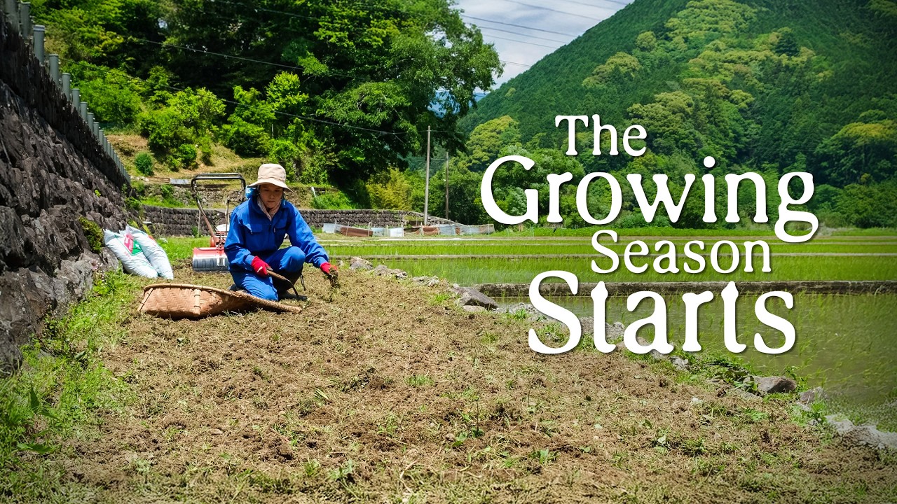 We Started a NEW Vegetable Garden (+ Day Trips with the Fam) in the Japanese Countryside