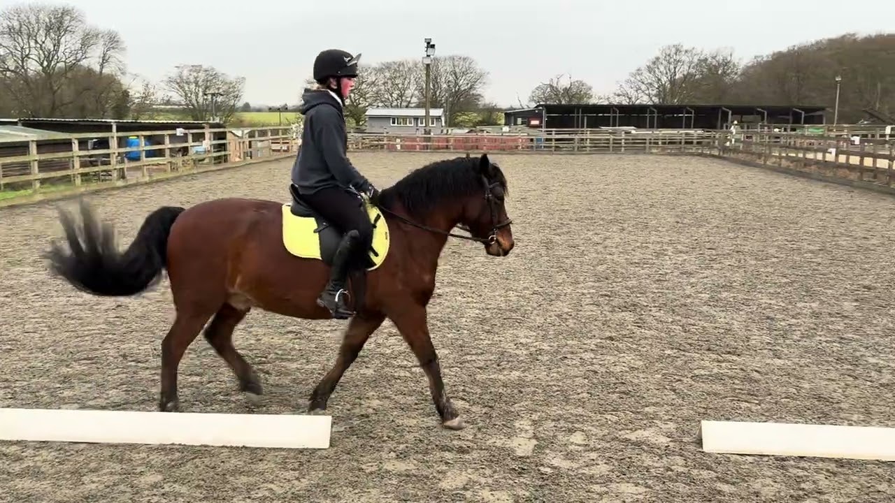 CDRC- freya sop- zac- prelim- mar26