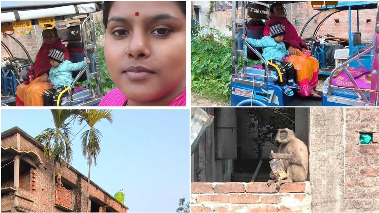 আজ আবারও হনুমান এসে আমাদের সব বিস্কুটের কৌটো নিয়ে চলে গেল। আজ পুরো মাসের বাজার করে আনলো 