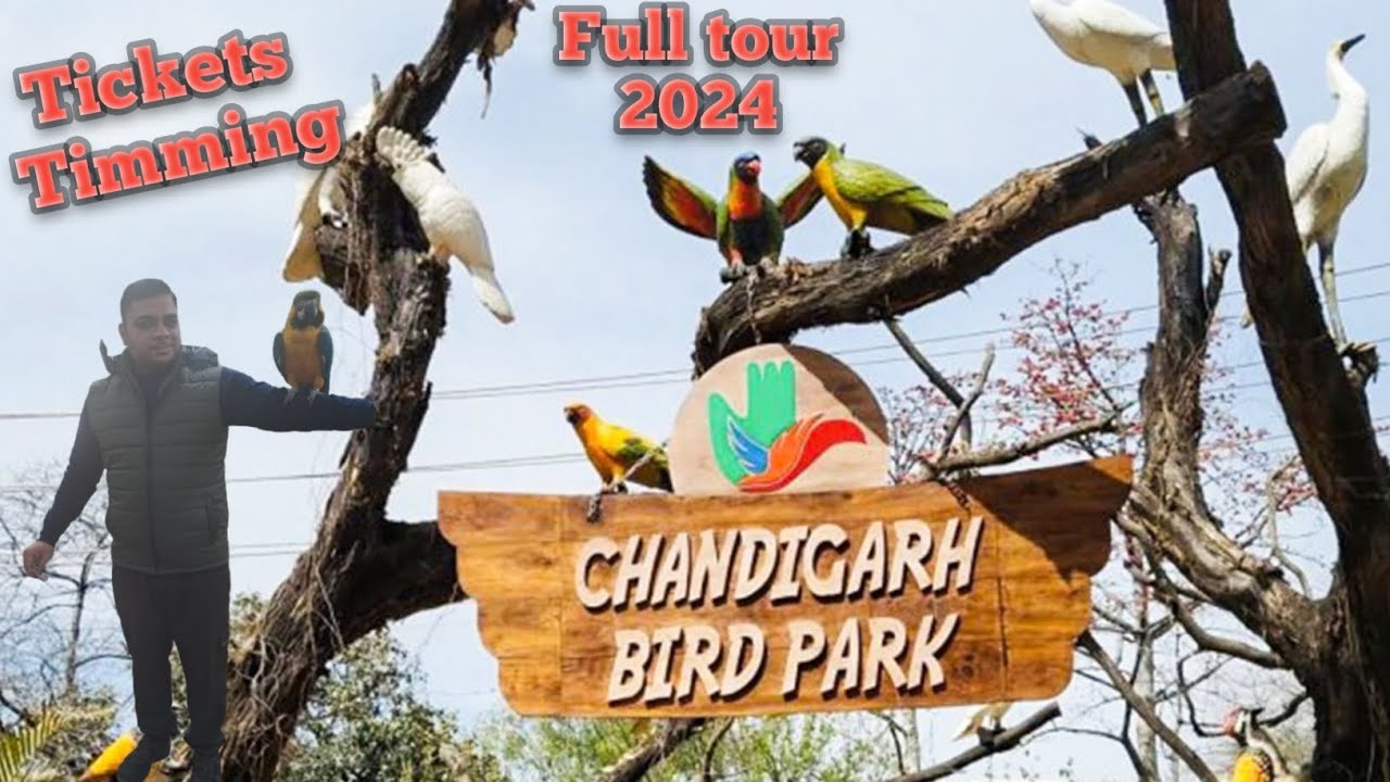 Bird Park | Chandigarh | Famous Place in Chandigarh | Exploring Exotic Birds 🐦 🐦‍⬛  & Nature  walk