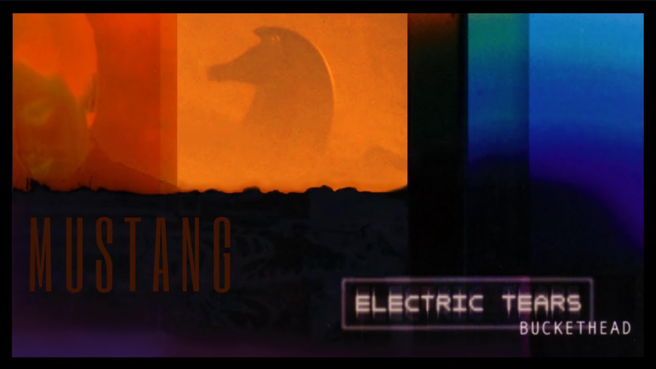 BUCKETHEAD - MUSTANG visualizer