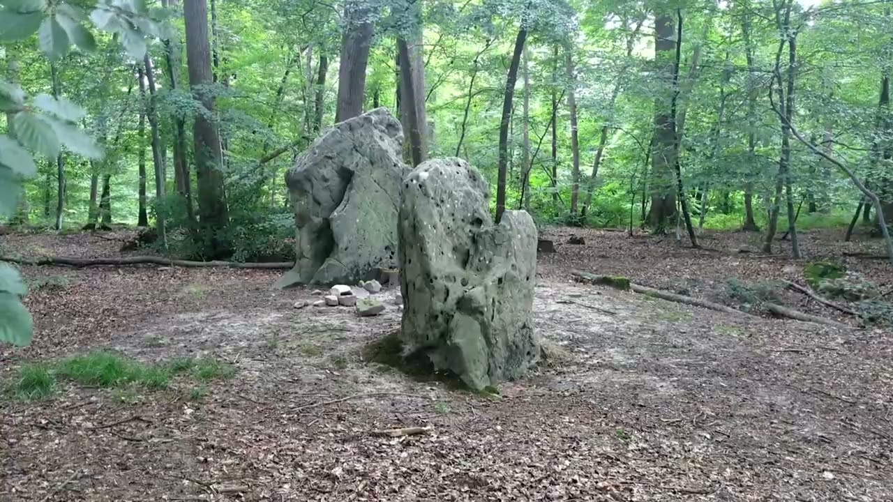 A la découverte de : la forêt d' Halatte