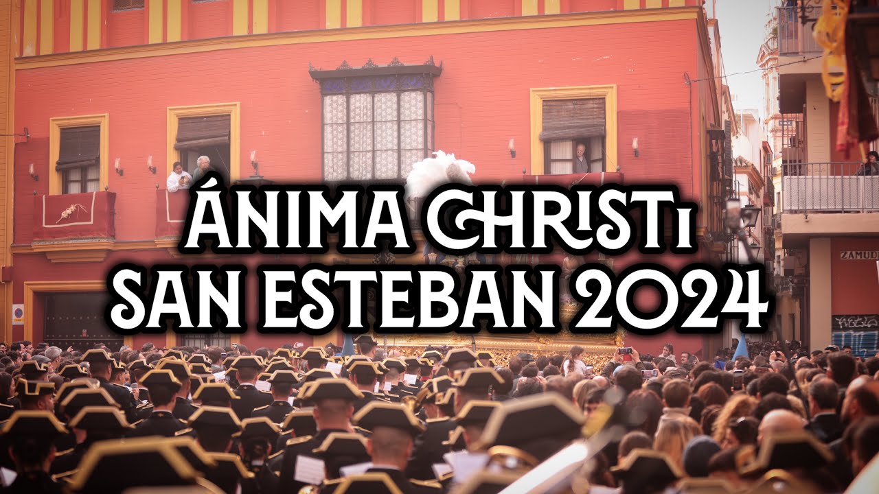 Anima Christi | San Esteban en San Ildefonso 2024 | Virgen de los Reyes