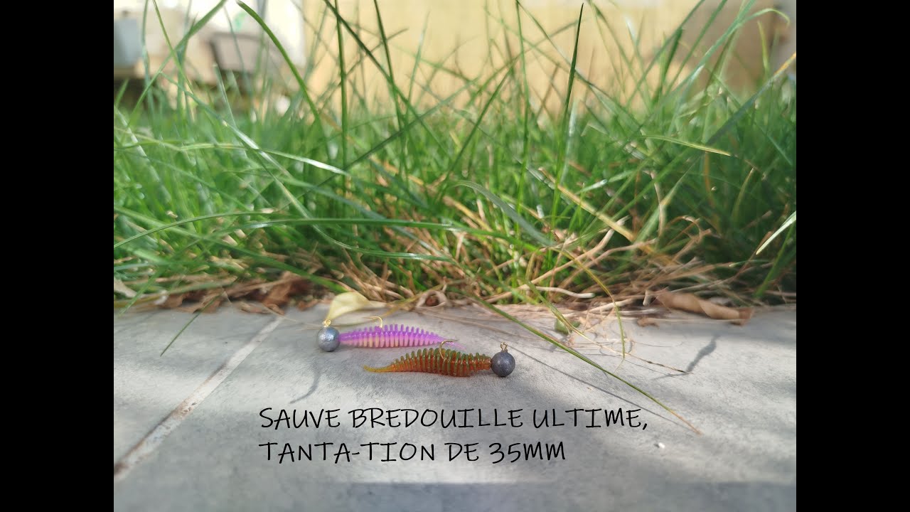Le Tanta encore et toujours