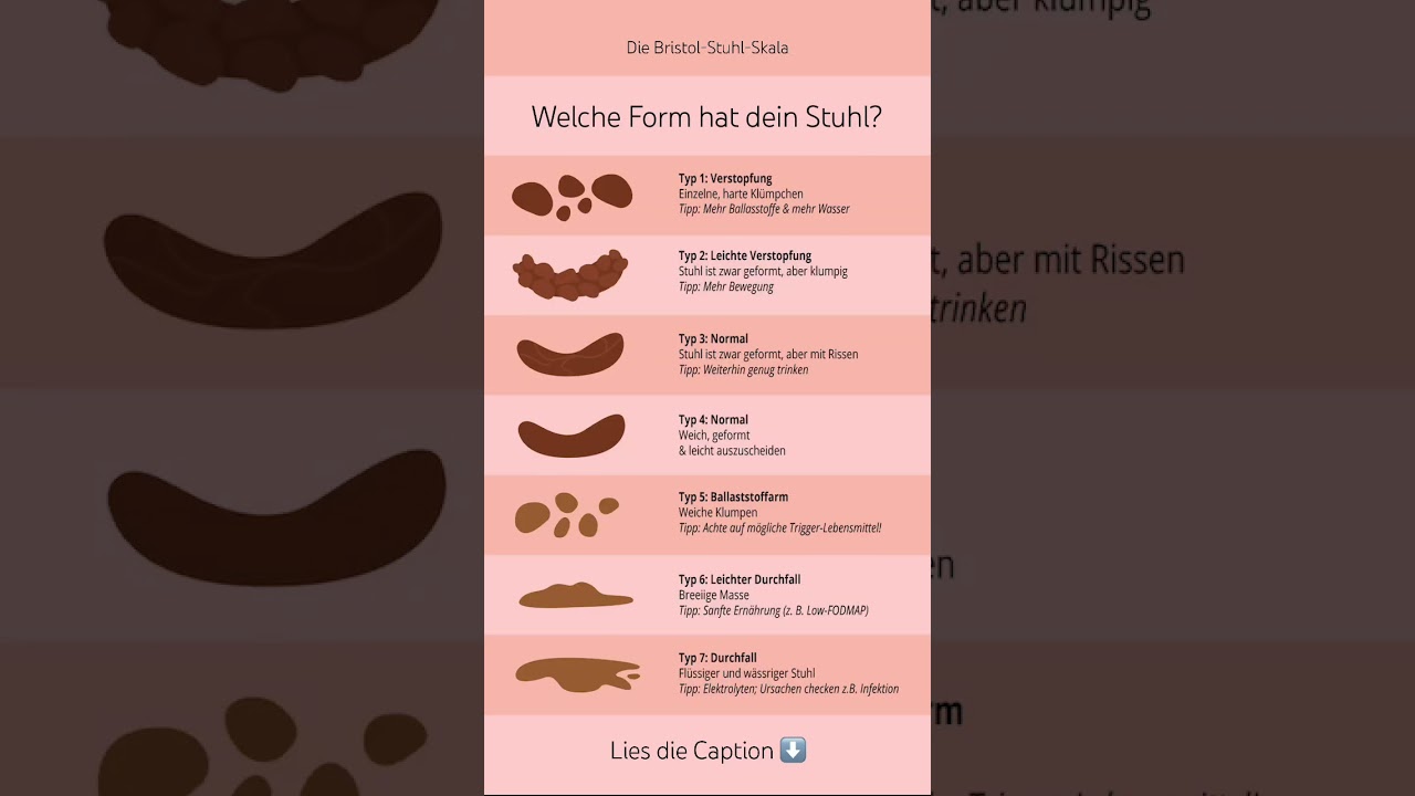 🧻 Die Bristol-Stuhl-Skala: Was dein 💩 &uuml;ber deine Darmgesundheit verr&auml;t!