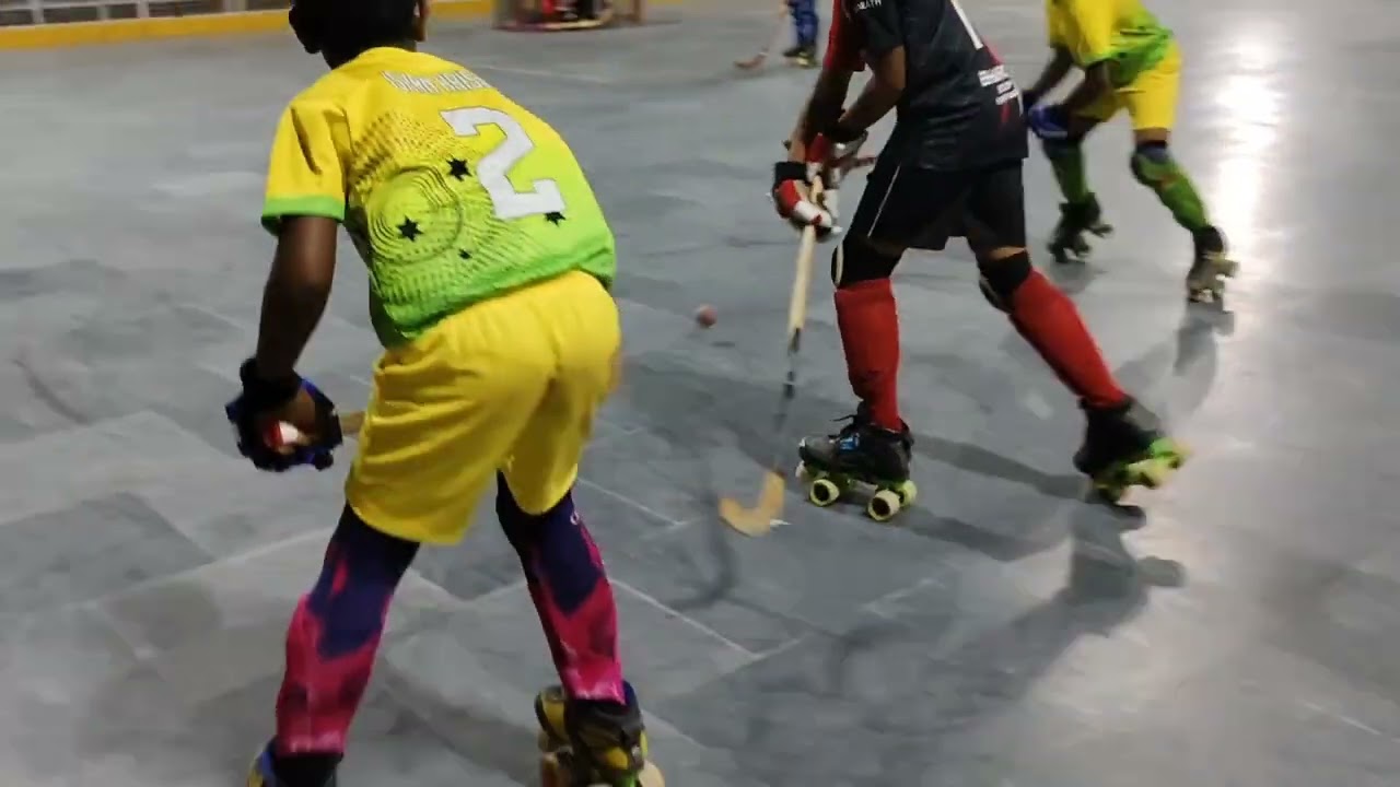 ROLLER Hockey Kerala State Competitions at Holygrace Academy Mala