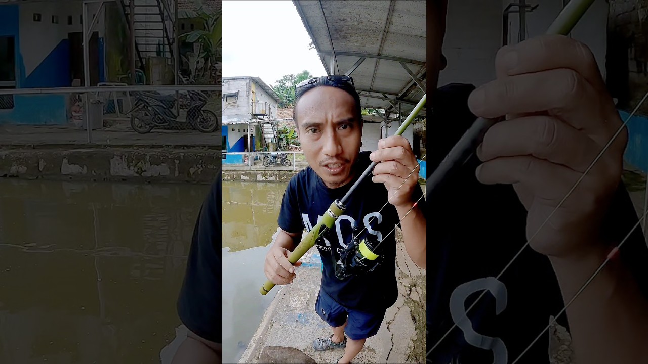 Test Rod Daido Caliber..karna ganteng penampilan aja gak cukup‼️ #daido #daidocaliber #mancing