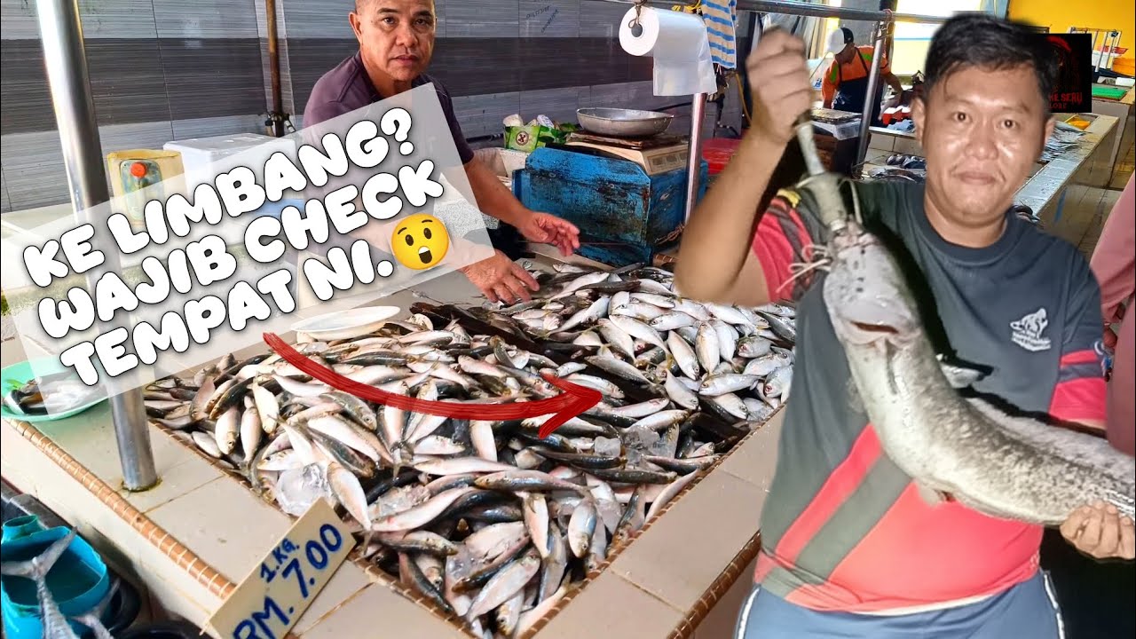 HEBAT!! LIMBANG SANGAT RAMAI PENGUNJUNG...