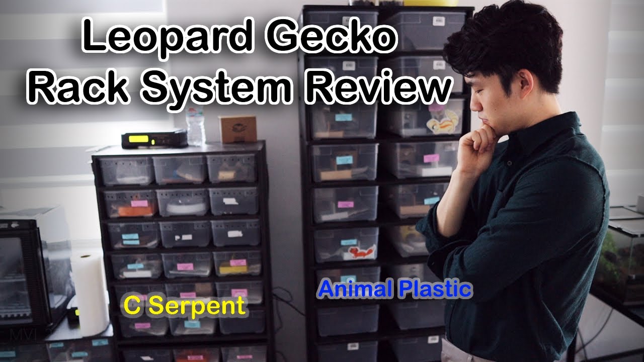 Обзор системы стеллажей Animal Plastics против C Serpents | GECKOPIA