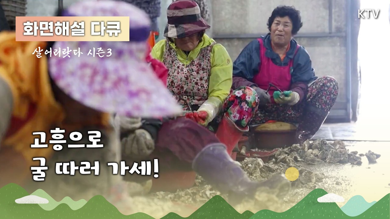 (화면해설) 살어리랏다 시즌3 14회 고흥으로 굴 따러 가세!