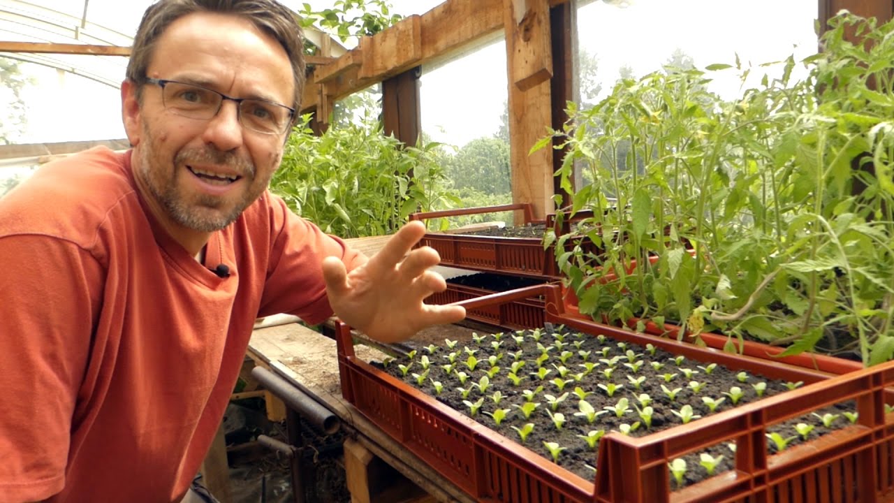 10 astuces pour votre serre à plants