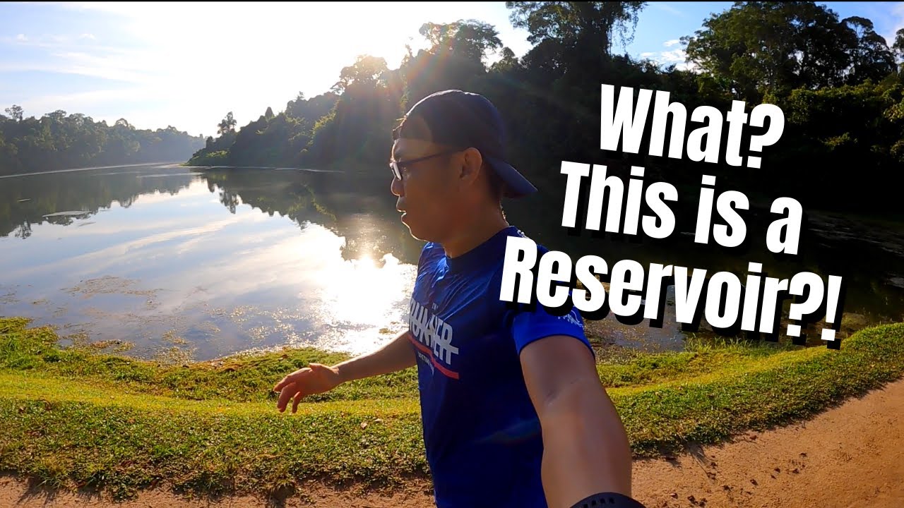 WHAT? This is A Reservoir?? | MacRitchie Reservoir Trail Run