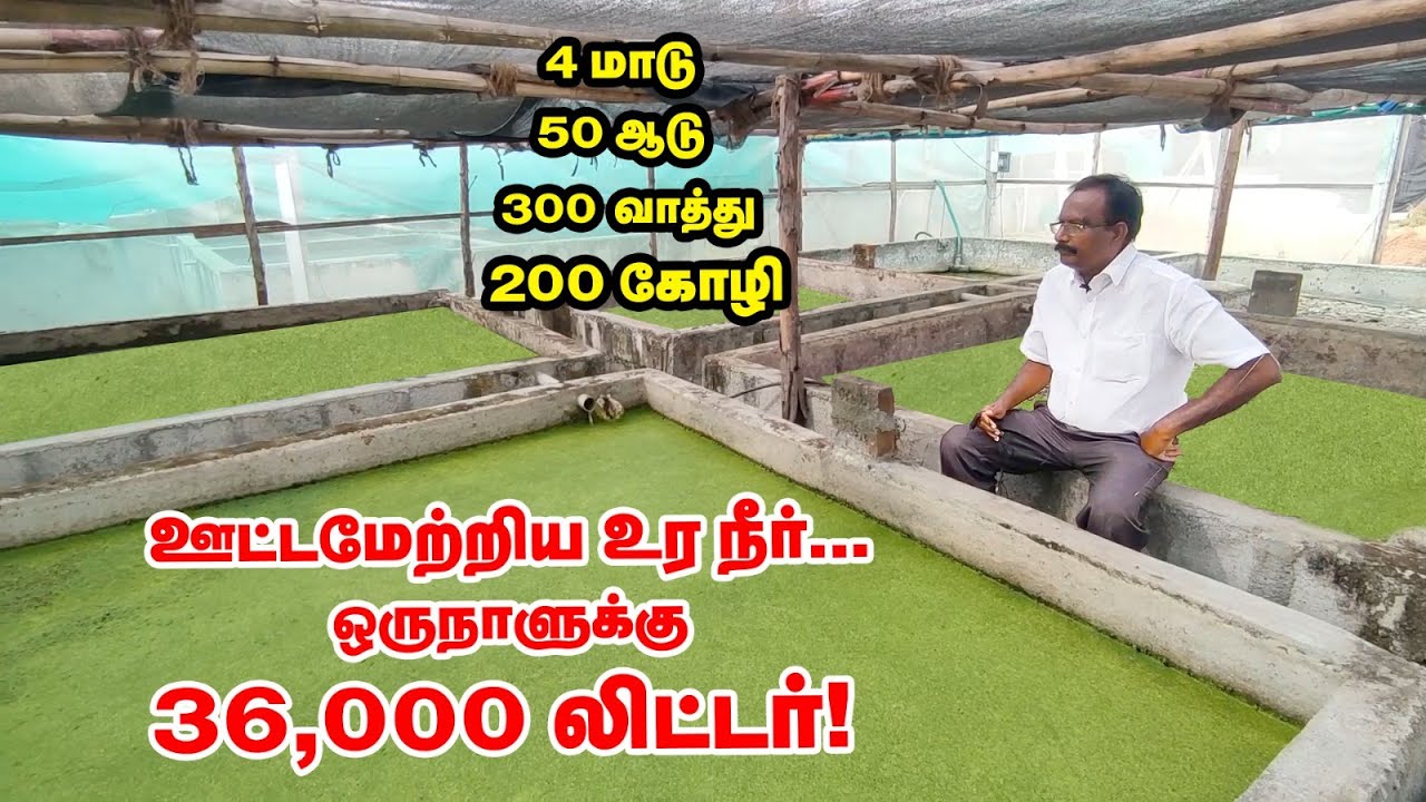 Smart Integrated Farming - பற்றி உங்களுக்குத் தெரியுமா? | Erode Banana Forest Shanmugasundram