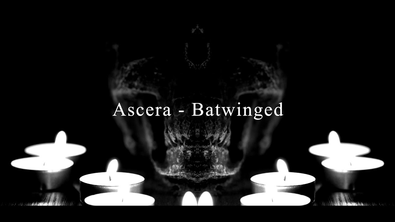 ASCERA - Batwinged (Official Music Video) (Single Version)