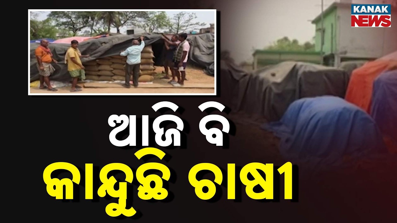 Keonjhar Mandi Crisis: Paddy Lying in Open as Rain Warning Looms | Farmers in Distress