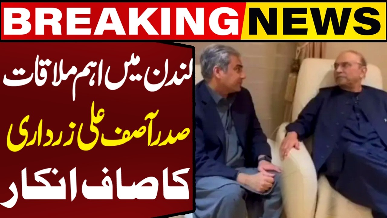 No More Provinces? President Zardari and Mohsin Naqvi Hold Key Meeting in London | Breaking News