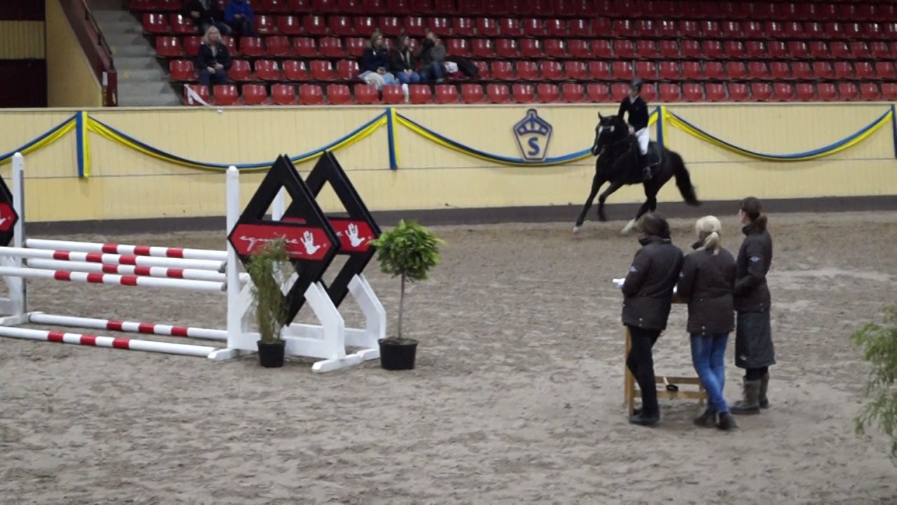Bruksprovet 2017 Mr Vain GJ och Linda Heed
