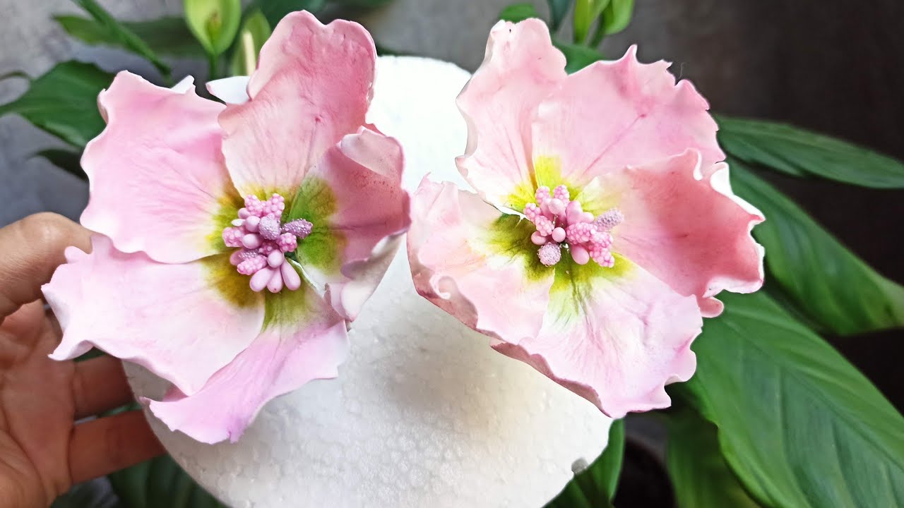 Şəkər xəmirindən gülün hazırlanması 🔴sugar flowers