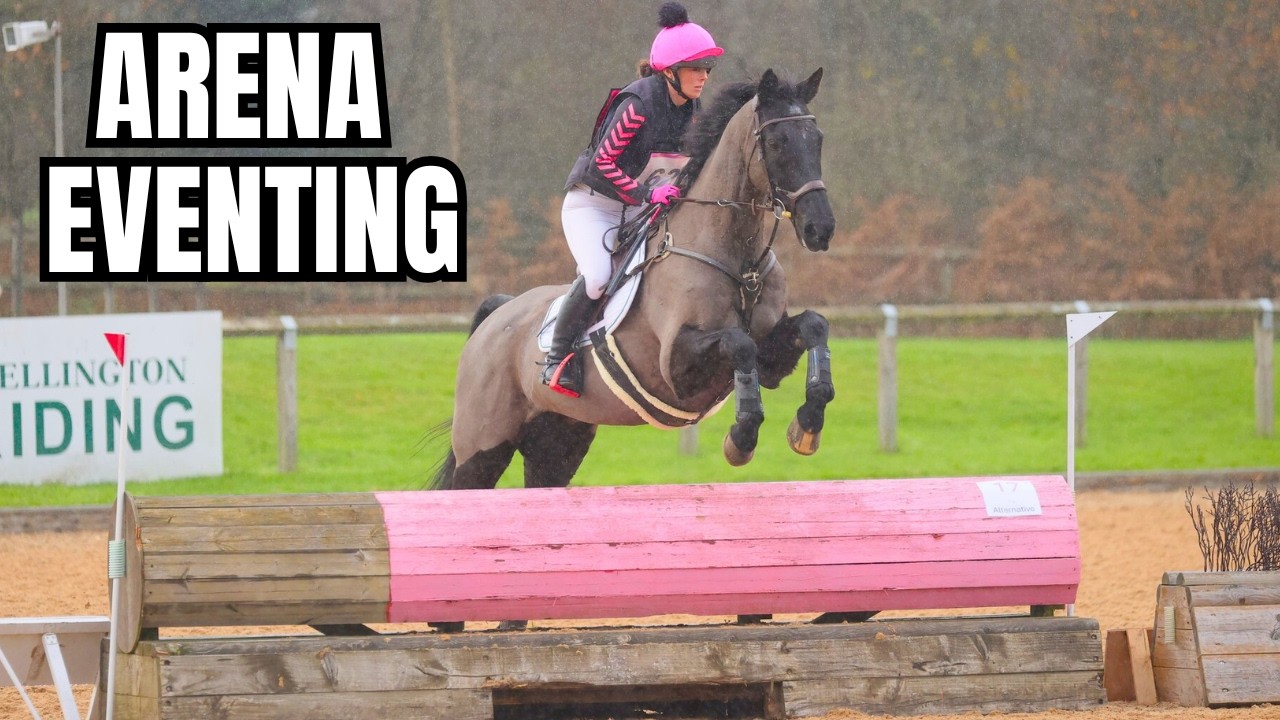 ARENA EVENTING X2 | CHAOS AND RAIN WITH ZEB AND MAX || VLOG 206