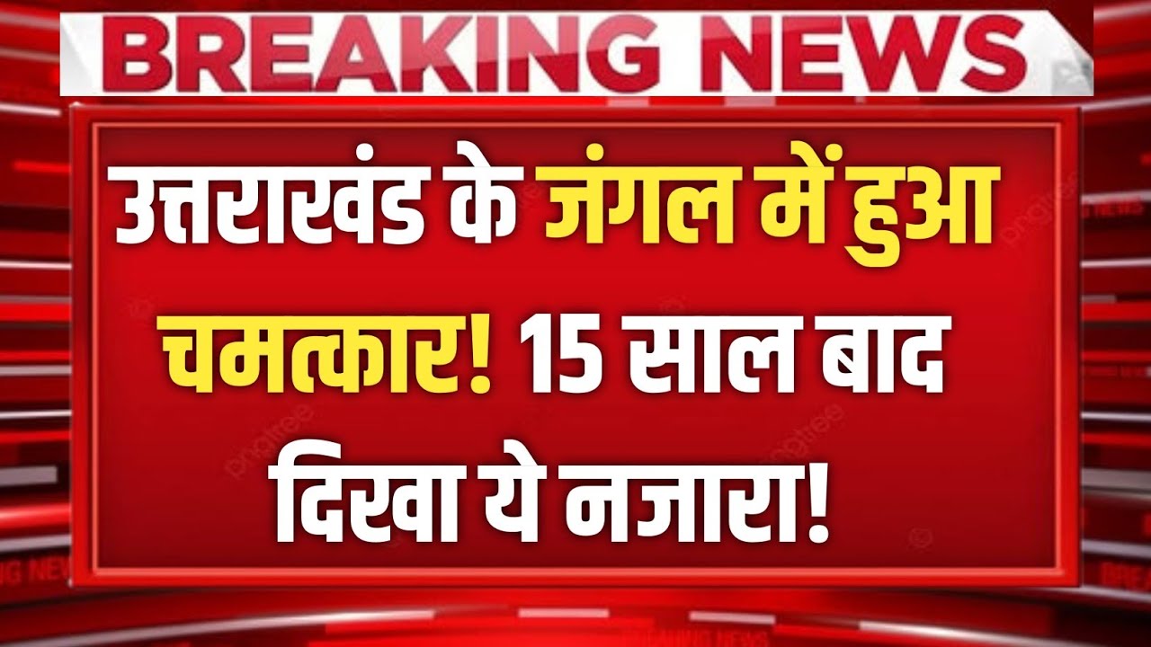 Uttarakhand के जंगल में हुआ चमत्कार! 15 साल बाद दिखा ये नजारा!