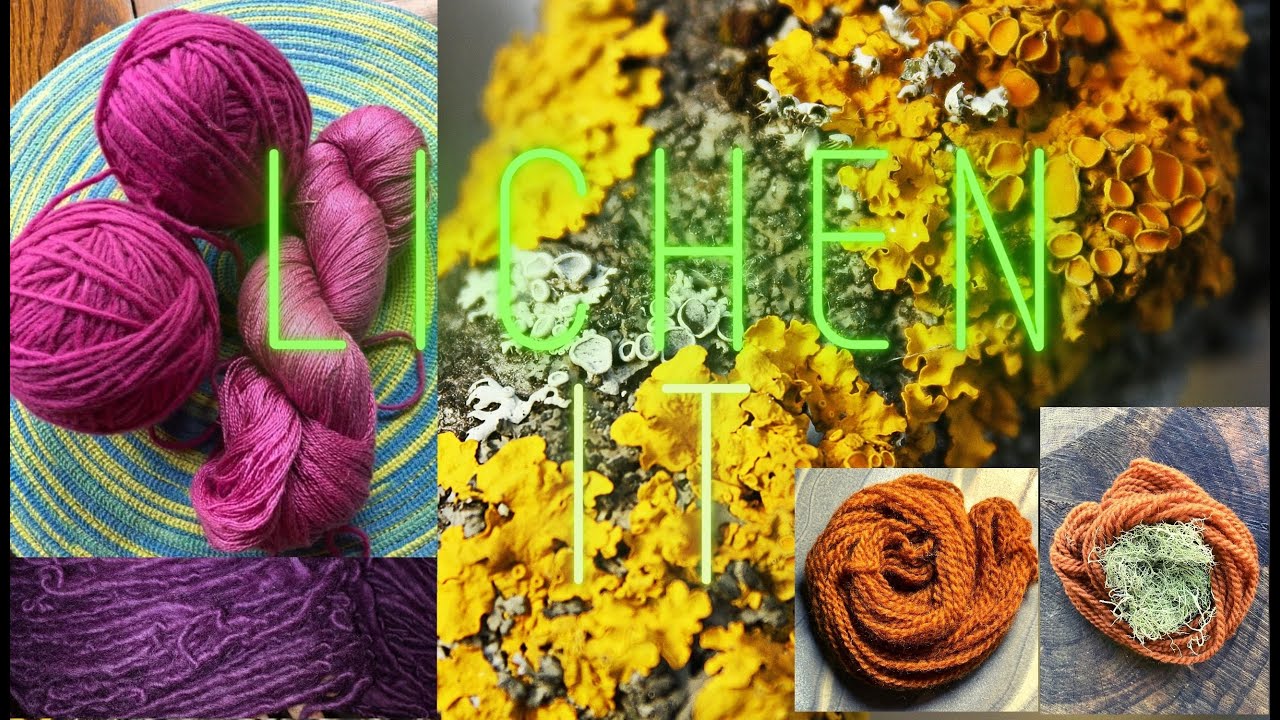 Welcome to Dyeing with Lichens ​⁠